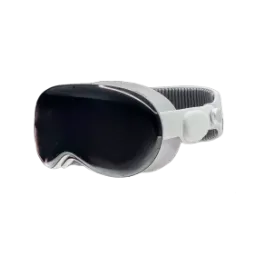 Apple Vision Pro